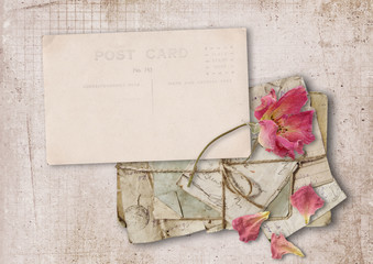 Vintage card with rose on old paper