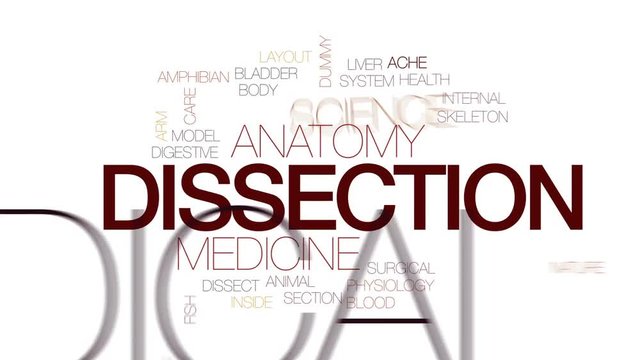 Dissection animated word cloud, text design animation. Kinetic typography.