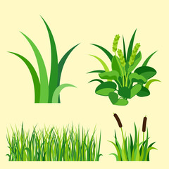 Fototapeta na wymiar Green grass nature design elements vector illustration isolated grow agriculture nature background