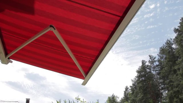 Canopy from the Sun