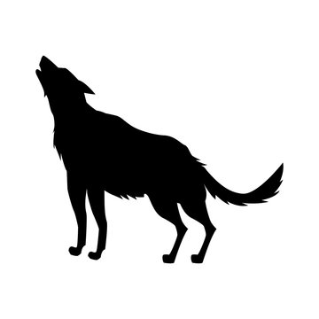 silhouette wolf animal forest wild life image vector illustration