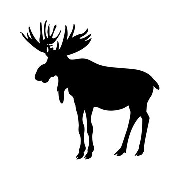 silhouette american elk animal forest wild life image vector illustration