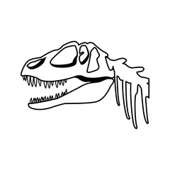 fossil dinosaur head skeleton lizard animal bone vector illustration