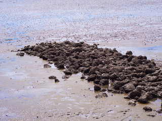 Low tide at sea with blue sky,Rock on low tide