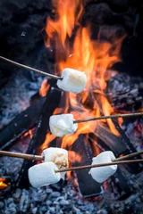 Gardinen Delicious and sweet marshmallows on stick and bonfire © shaiith