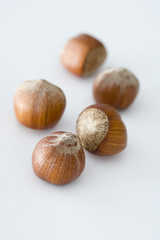 Hazelnut