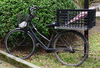 Fototapeta na wymiar Old bicycle with a basket in back seat. A pink umbrella in the basket.