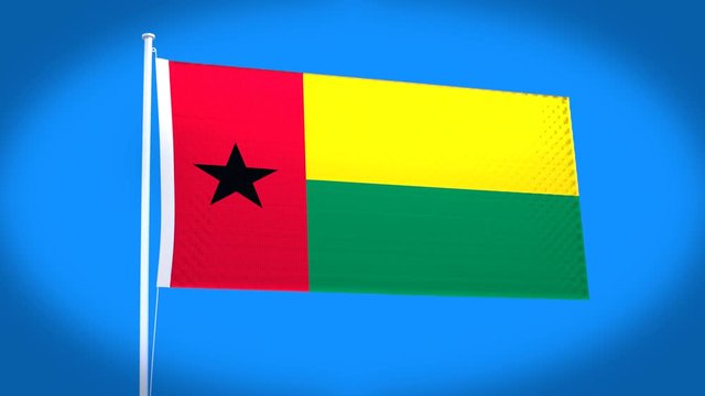 the national flag of Guinea bissau