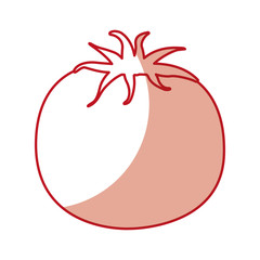 tomato fresh isolated icon vector illustration design