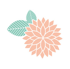 cute flower isolated icon vector illustration design