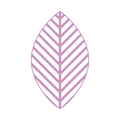 leaf plant isolated icon vector illustration design