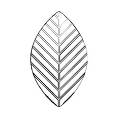 leaf plant isolated icon vector illustration design
