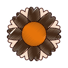 cute flower isolated icon vector illustration design