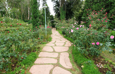 Stone pathway on grass in garden