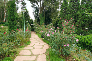 Stone pathway on grass in garden