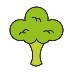 broccoli fresh vegetable isolated icon vector illustration design