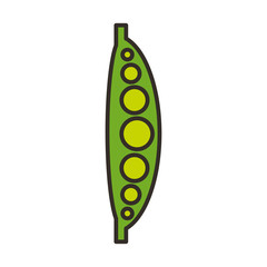 bean fresh vegetable isolated icon vector illustration design
