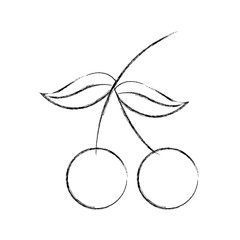 cherry fresh fruit isolated icon vector illustration design