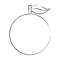 orange fresh fruit isolated icon vector illustration design