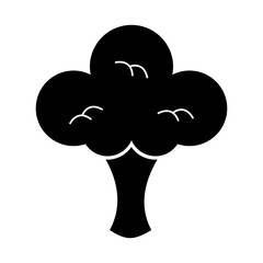 broccoli fresh vegetable isolated icon vector illustration design