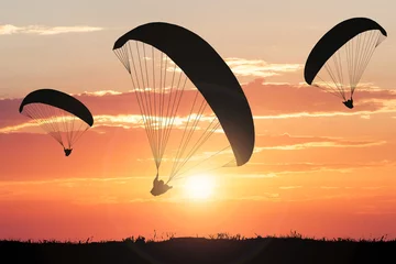 Papier Peint photo Sports aériens Silhouette Of Paragliders At Sunset