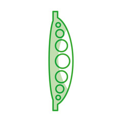 bean fresh vegetable isolated icon vector illustration design