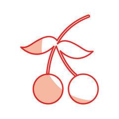 cherry fresh fruit isolated icon vector illustration design