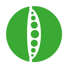 bean fresh vegetable isolated icon vector illustration design