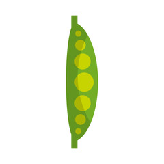 bean fresh vegetable isolated icon vector illustration design