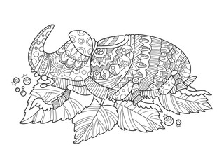 Rhinoceros beetle insect coloring book vector