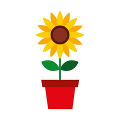 Obraz premium beautifull sunflower isolated icon vector illustration design