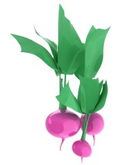 Small garden radish isolated on white background. 3d illustration