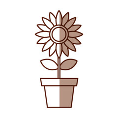 beautifull sunflower isolated icon vector illustration design