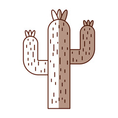 cactus desert isolated icon vector illustration design