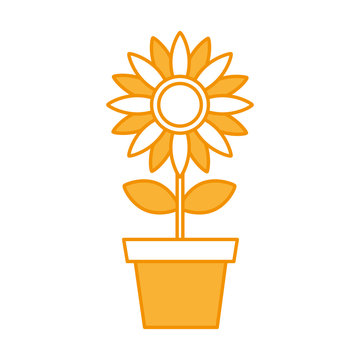 beautifull sunflower isolated icon vector illustration design
