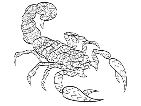 Vector coloring Scorpion for adults