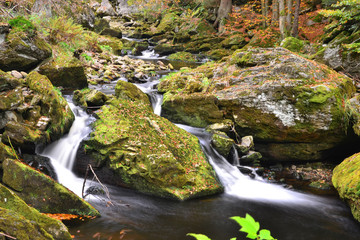 Bachlaufstimmung im Herbstwald