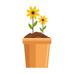beautiful flowers in a pot icon over white background colorful design vector illustration