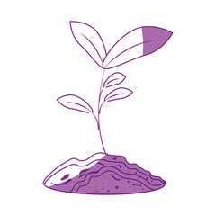 plant growing icon over white background vector illustration
