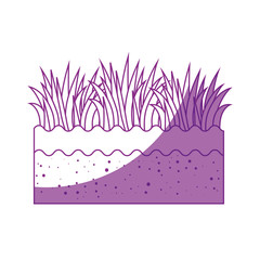 grass icon over white background vector illustration