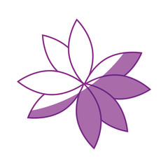 beautiful flower icon over white background vector illutration