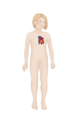 Fototapeta premium Heart, illustration