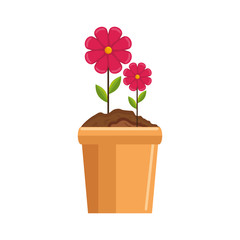 beautiful flowers in a pot icon over white background colorful desing vector illustration