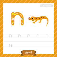 Letter N lowercase tracing practice worksheet with newt for kids learning to write. Vector Illustration.