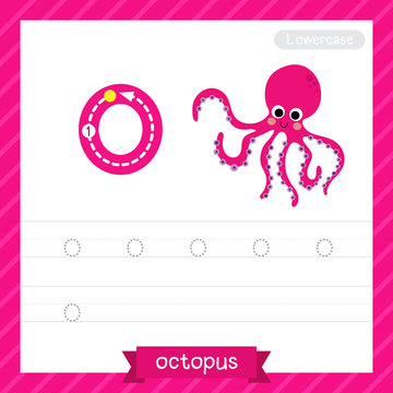 Letter O lowercase tracing practice worksheet with octopus for kids learning to write. Vector Illustration.