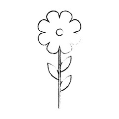 beautiful flower icon over white background vector illustration