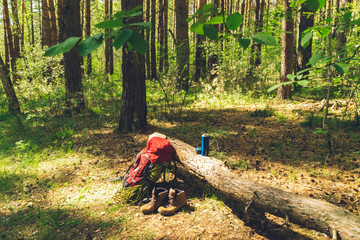 Backpack and shoes of a tourist lying about logs in the forest - Powered by Adobe
