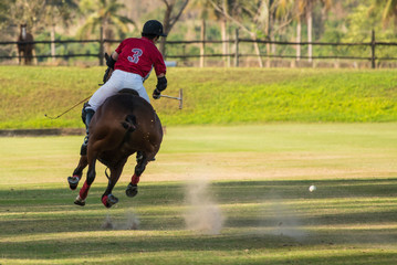 Polo player hit a polo ball with mallet.