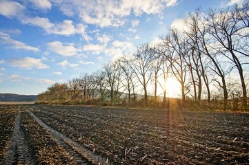 Plown field on sunset
