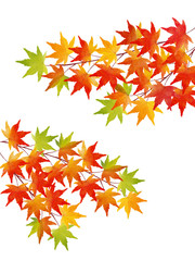 紅葉　水彩イラスト